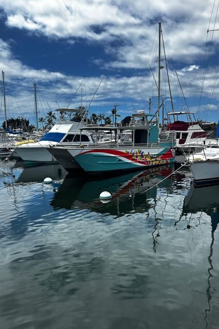 Kailua-Kona: Captain Cook Reef Catamaran Day Trip with Lunch - Who Will Love This Tour?