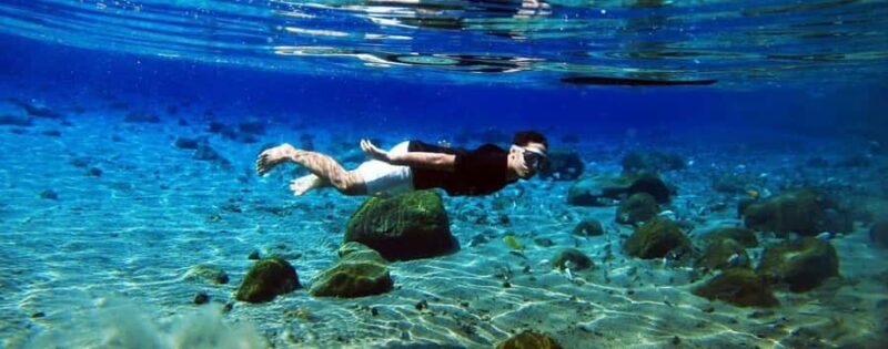 Kailua Kona: Dolphin, Sea Cave and Captain Cook Snorkel Tour - Key Points