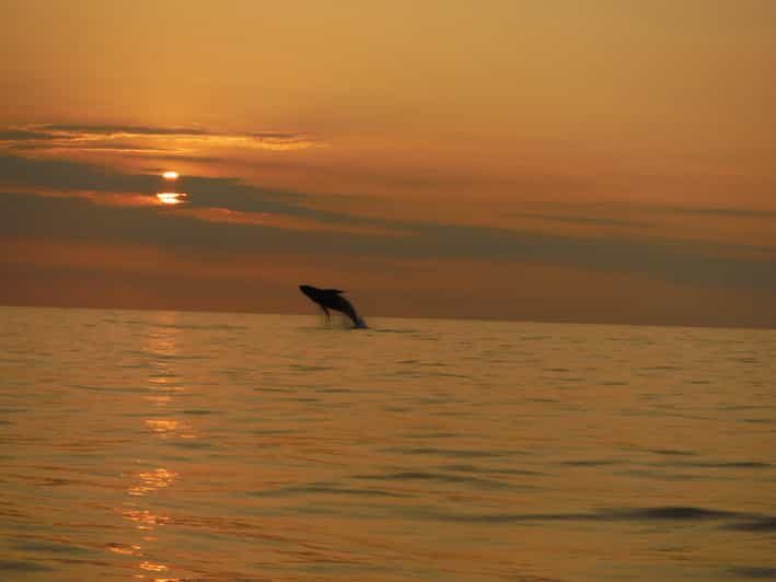 Kailua-Kona: Dolphin Watch & Double-Reef Snorkel Tour - Value and Practical Considerations