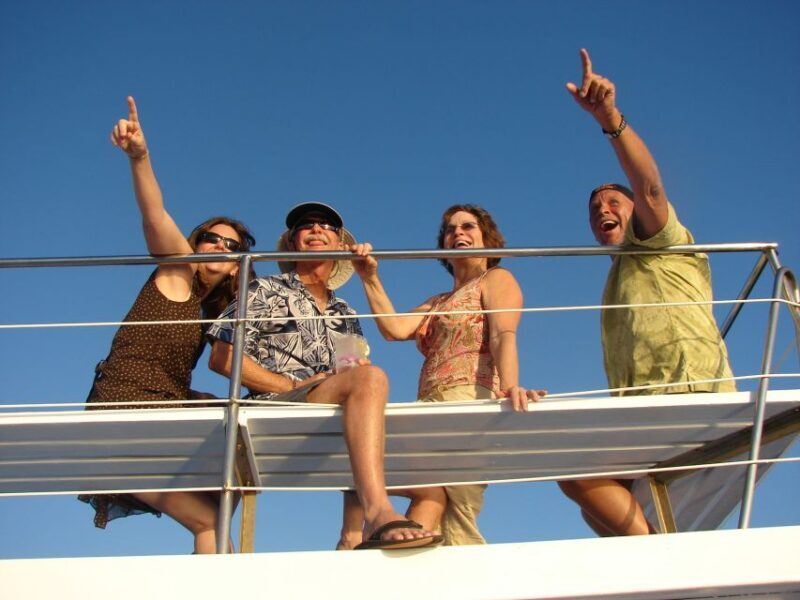 Kailua Kona: Humpback Whale Watching Adventure Cruise - What’s Included and What to Expect