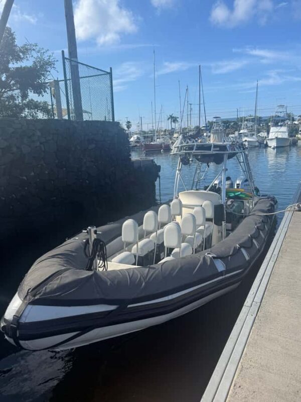 Kailua-Kona: Manta Ray Night Snorkel SMALL GROUP - The Experience: What Travelers Say
