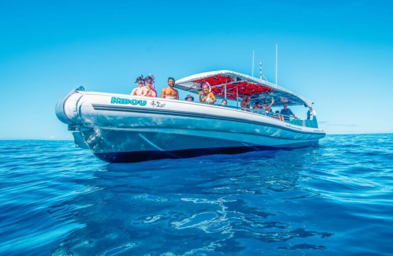 Kailua-Kona: Manta Ray Snorkeling with Hot Cocoa - A Deep Dive into the Manta Ray Snorkeling Experience