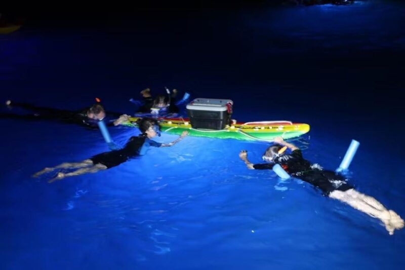 Kailua-Kona: Manta Ray Spotting Night Snorkeling Tour - Key Points