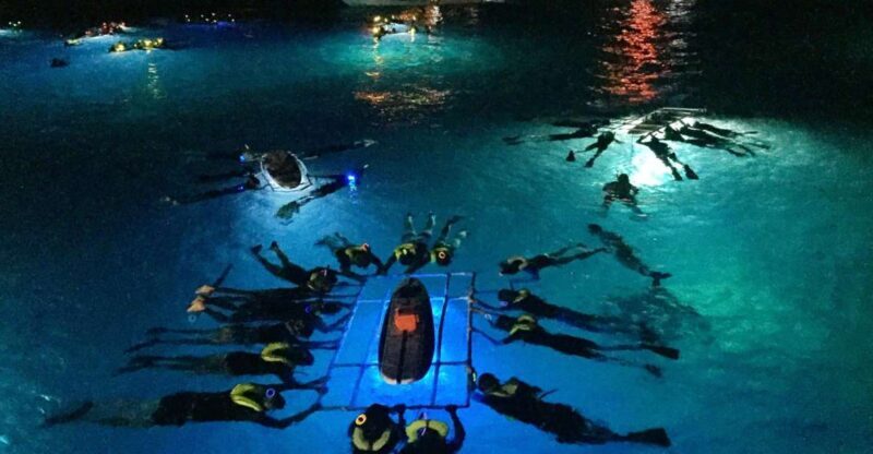 Kailua Kona: Night Manta Ray Adventure on the Big Island - Practical Considerations