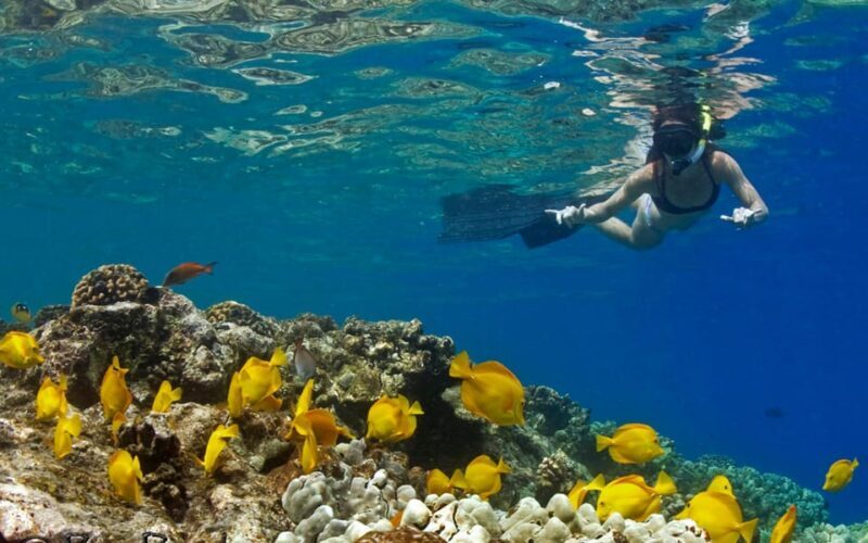Kailua-Kona: Private Marine Charter Adventure - Who Should Consider This Tour?