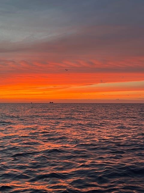 Kailua-Kona: Private Marine Charter Adventure - The Sum Up