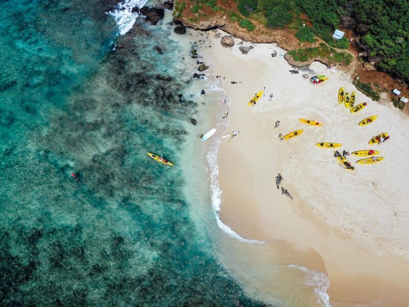 Kailua: Mokulua Islands Guided Kayak and Snorkeling Tour - FAQ