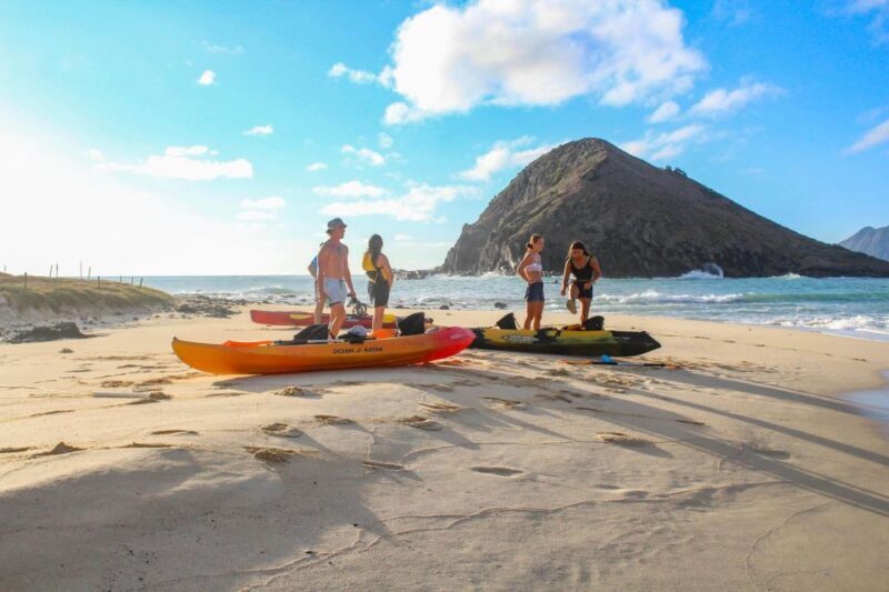 Kailua: Mokulua Islands Kayak Tour with Lunch - Starting Your Day: Check-In and Preparation