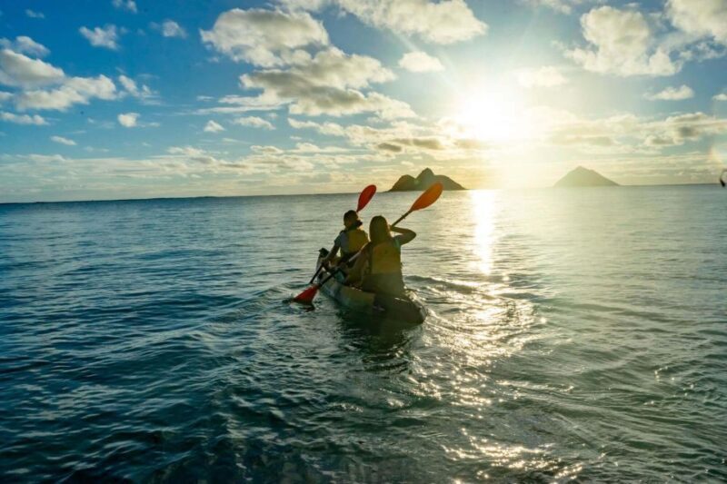 Kailua: Mokulua Islands Kayak Tour with Lunch - Wildlife Encounters: Spotting Marine Life
