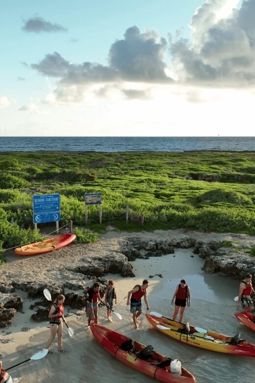 Kailua, Oahu: Popoia Island & Kailua Bay Guided Kayak Tour - Who Should Consider This Tour?