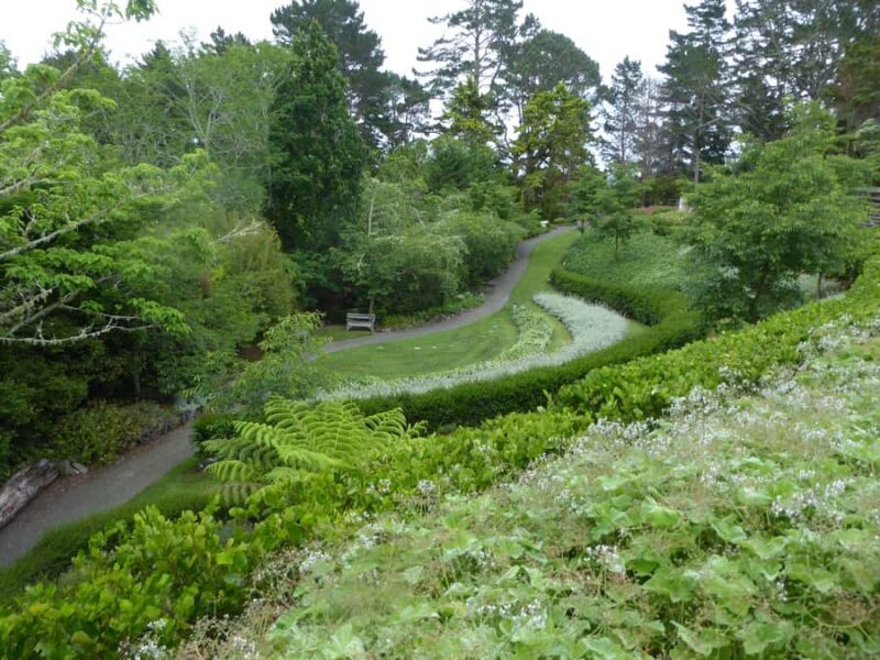 Kaipara Coast Sculpture Gardens Entry Ticket - Introduction