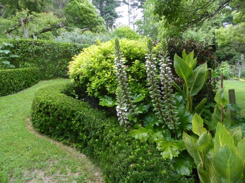 Kaipara Coast Sculpture Gardens Entry Ticket - Final Thoughts: Who Will Appreciate This Experience?