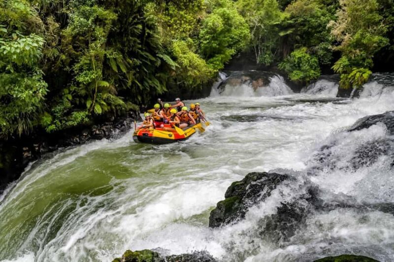 Kaituna River and Tutea Falls Whitewater Rafting - Key Points