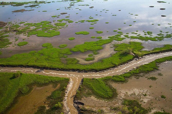 Kakadu, Adelaide & Mary River Scenic Flight - An In-Depth Look at the Scenic Flight Experience