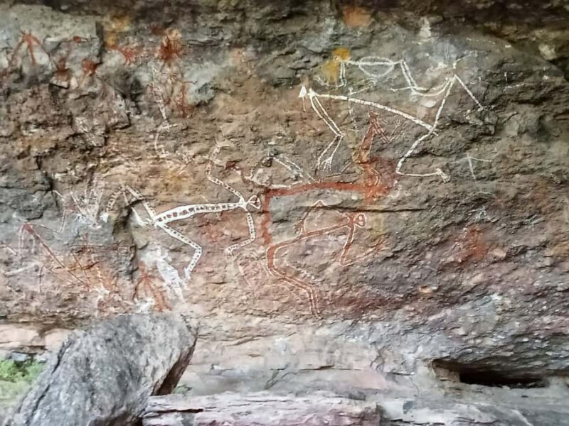 Kakadu Day Tour: Private, Yellow Water, Nourlangie, Ubirr - An In-Depth Review of the Kakadu Day Tour