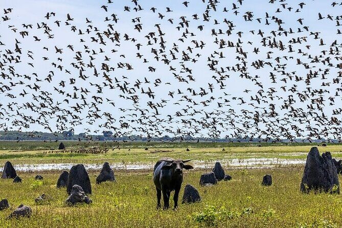 Kakadu National Park Full Day Tour + Yellow Water River Cruise - Who Will Love This Tour?