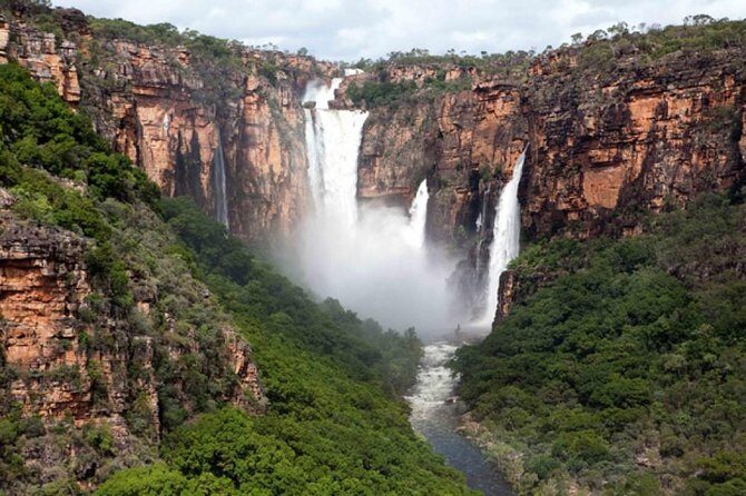 Kakadu National Park Scenic Flight &Yellow Water Cruise - An Overview of the Tour Experience