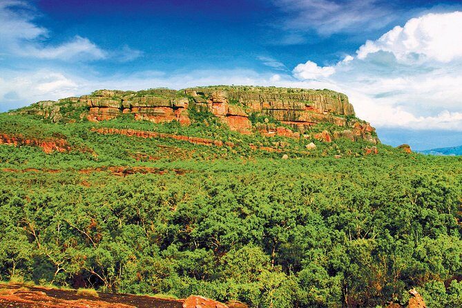 Kakadu, Nourlangie and Yellow Waters Tour from Darwin - The Itinerary: What to Expect