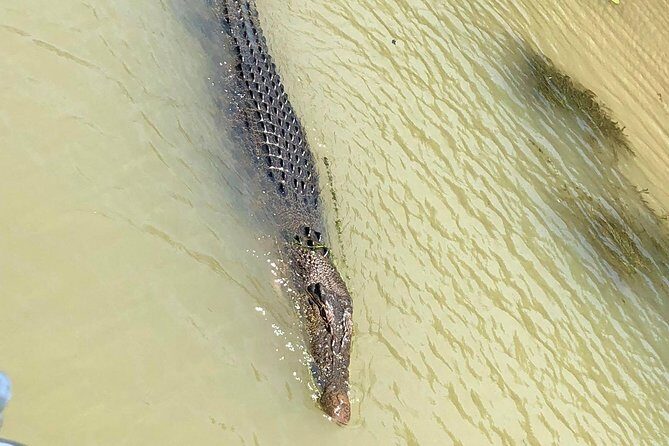 Kakadu Yellow Waters Cruise & Katherine Gorge Helicopter Scenic - The Itinerary: A Closer Look