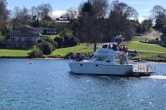 Kakariki Day Time Cruise to Maori Rock Carvings - Authentic Feedback from Travelers