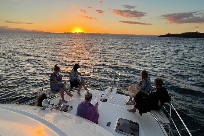 Kakariki Day Time Cruise to Maori Rock Carvings - Practical Details & Tips