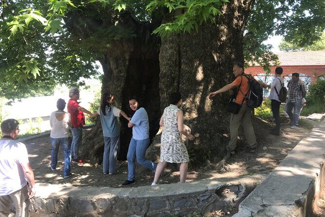 Kakheti Private: Wine, History, and City of Love - Who Will Love This Tour?