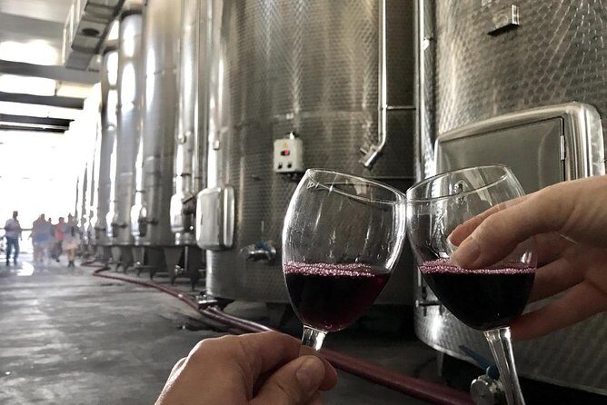 Kakheti-Sighnaghi Day Trip with wine tasting and Bodbe Monastery - Transportation and Group Size