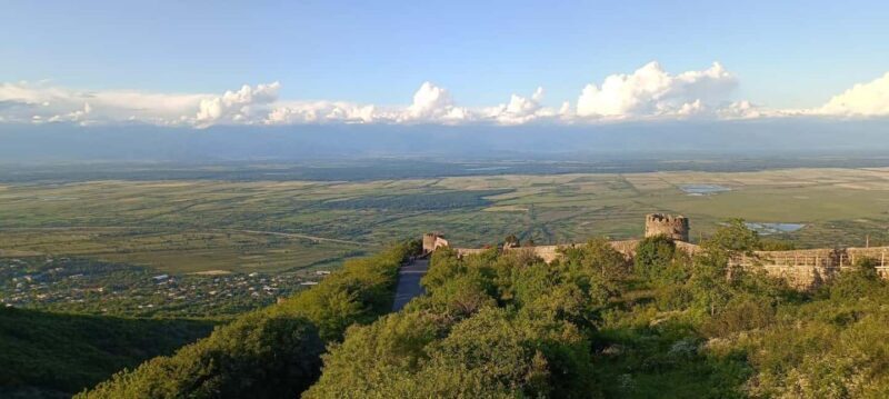 Kakheti: wine region and free wine tasting - Who Will Love This Experience?