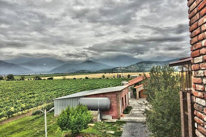 Kakheti-Wine Region Full-Day Superior Private Guided Tour & Organic Wine Tasting - A Complete Breakdown of the Tour