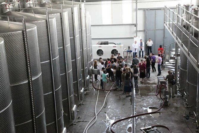 Kakheti Wine & Sighnaghi Private Tour from Tbilisi - A Deep Dive into the Kakheti Wine & Sighnaghi Tour