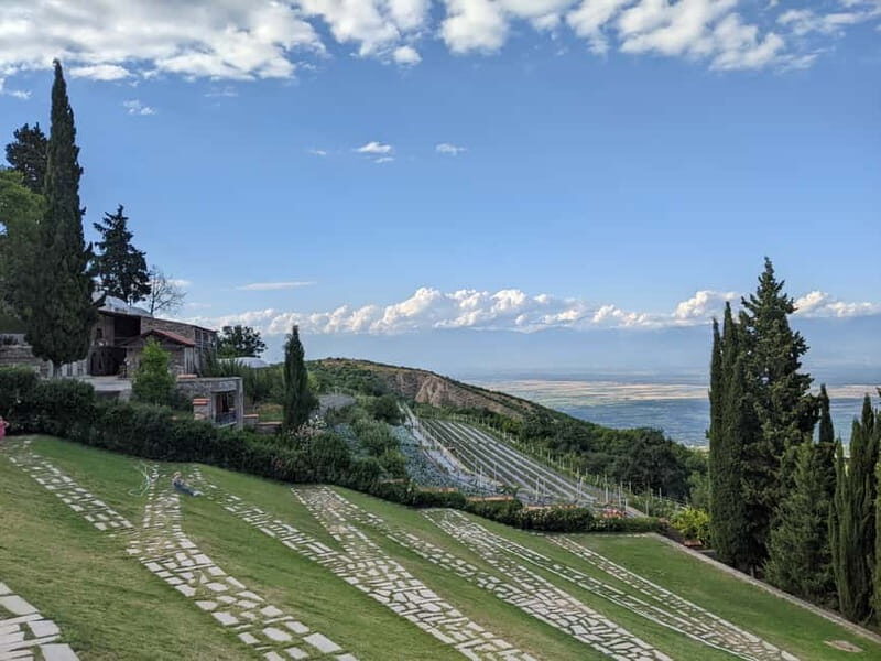 Kakheti: Wine tour from Tbilisi - Enjoy 6 sorts of wine - A Detailed Look at the Experience