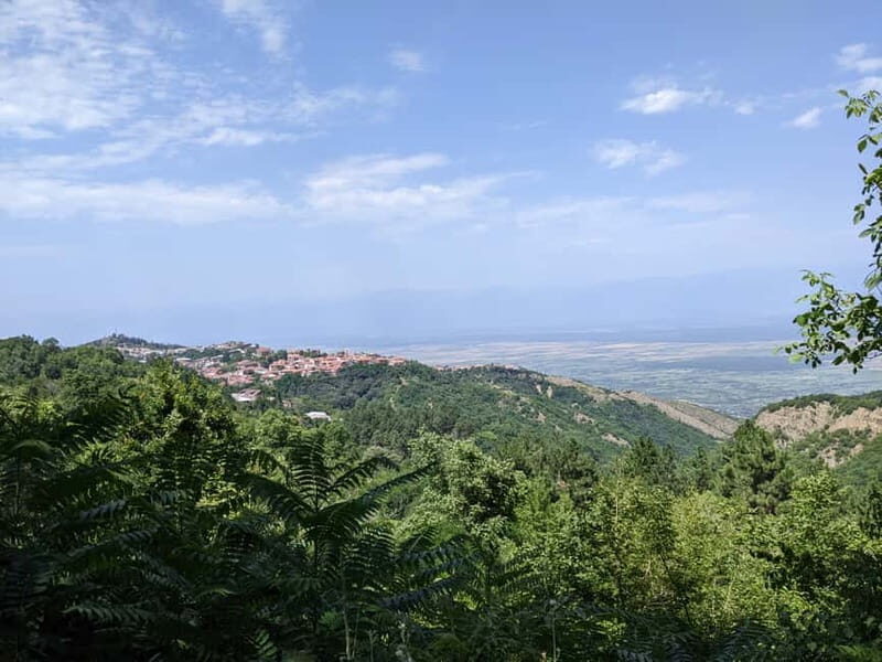 Kakheti: Wine tour from Tbilisi - Enjoy 6 sorts of wine - Practical Details and Why They Matter