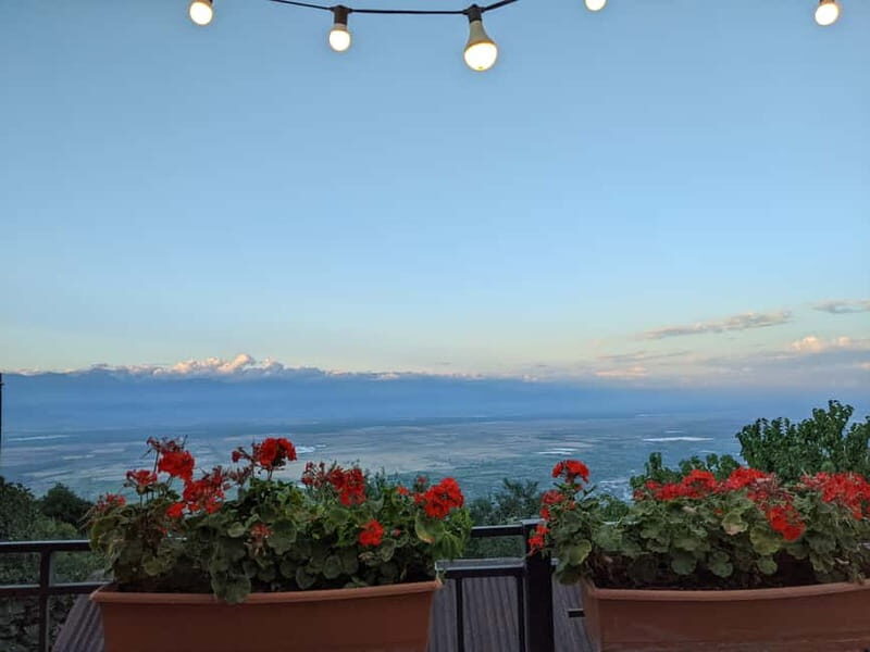 Kakheti: Wine tour from Tbilisi - Enjoy 6 sorts of wine - Final Thoughts: Who Should Take This Tour?