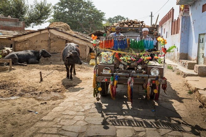 Kalakho abhaneri Organic Retreat from Jaipur - An In-Depth Look at the Kalakho Abhaneri Organic Retreat Experience