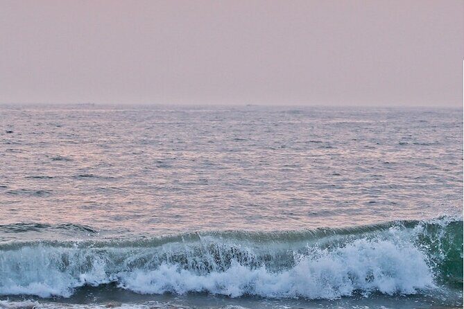 Kalakshetra, Theosophical Society & Elliots Beach - Chennai - The Theosophical Society: A Spiritual and Historical Gem