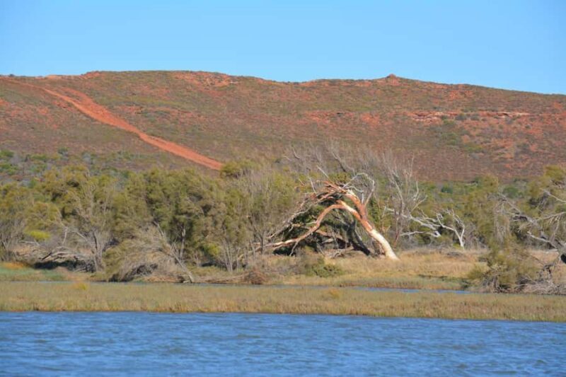 Kalbarri: Murchison River Morning Cruise - Key Points