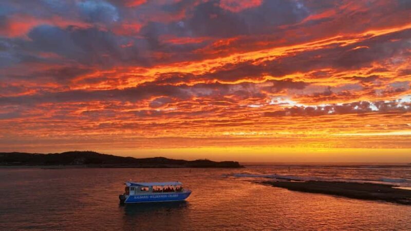 Kalbarri: Murchison River Wilderness Wildlife Cruise - Key Points