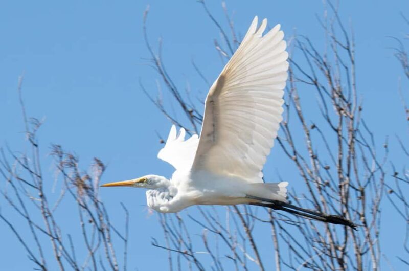 Kalbarri: Murchison River Wilderness Wildlife Cruise - Who Will Appreciate This Tour?