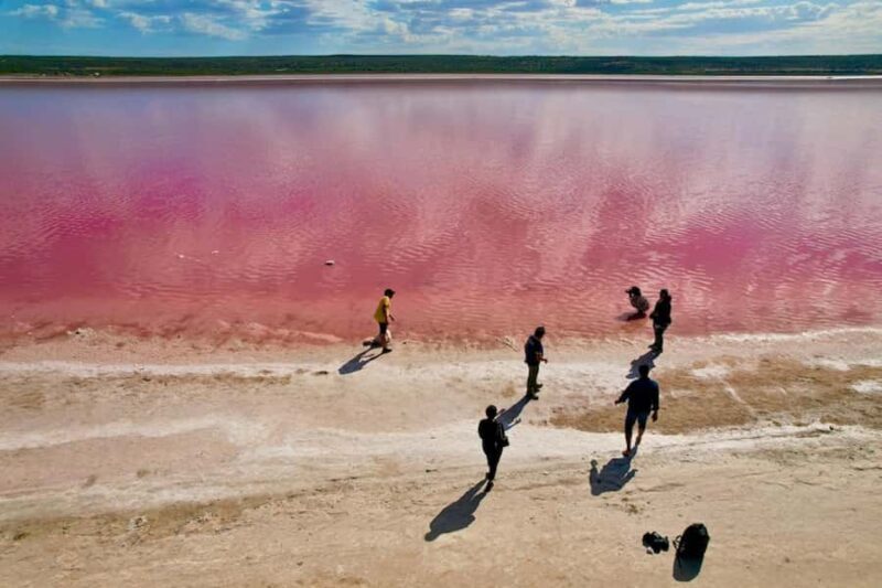 Kalbarri: Pink Lake and Coastal Cliffs Tour - Introduction