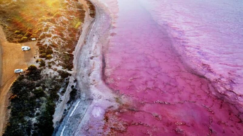 Kalbarri: Pink Lake and Coastal Cliffs Tour - Exploring Pink Lake (Hutt Lagoon)