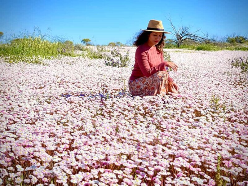 Kalbarri Wildflower Tour with Local Guide - The Allure of Western Australias Wildflower Season