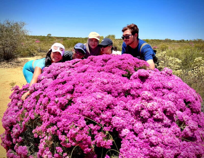 Kalbarri Wildflower Tour with Local Guide - Exceptional Value for Money