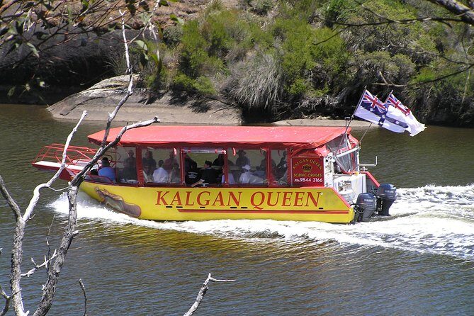 Kalgan Queen Scenic Cruises a four hour sheltered water wildlife tour daily fun. - Key Points