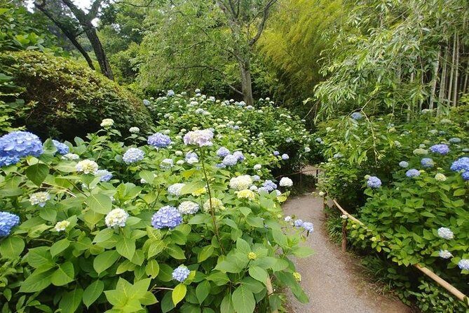 Kamakura and Eastern Kyoto with Lots of Temples and Shrines - The Sum Up