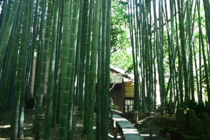 Kamakura Bamboo Forest and Great Buddha Private Tour - FAQs