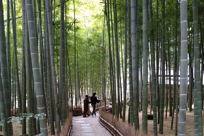 Kamakura One Day Walking Private Tour - Who Will Love This Tour?