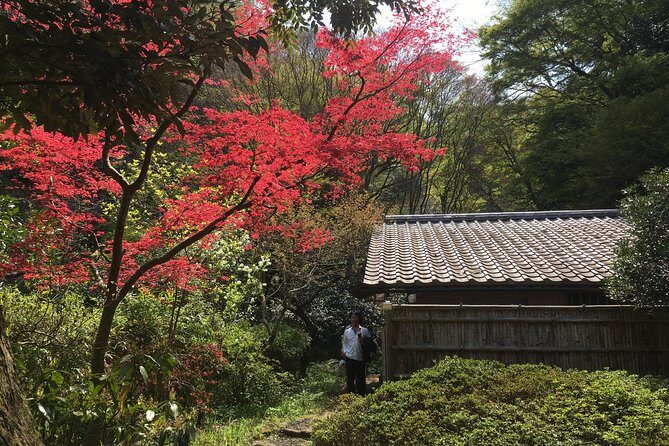 Kamakura Private Walking Tour - The Sum Up: Is This Tour Worth It?