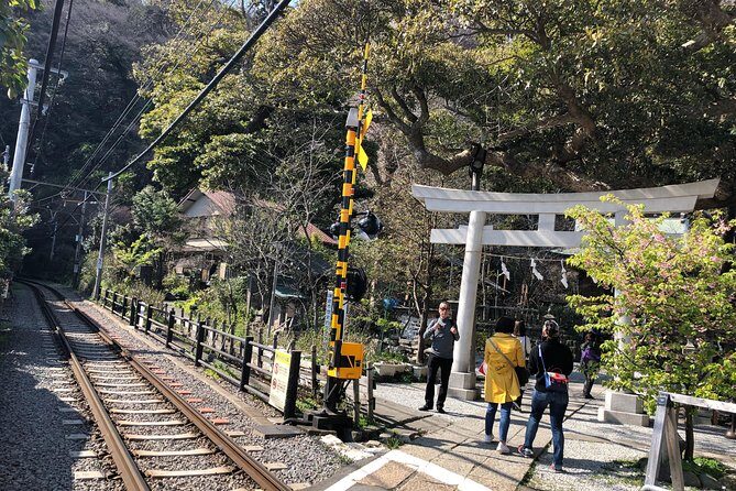 Kamakura Scenic Bike Tour - Authentic Experiences and Real Insights from Reviewers