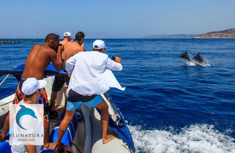 Kamiros Skala : Marine Life Experience & Alimia Island - Who Should Consider This Tour?