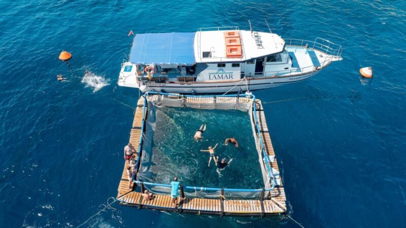 Kamiros Skala : Marine Life Experience & Alimia Island - Final Thoughts